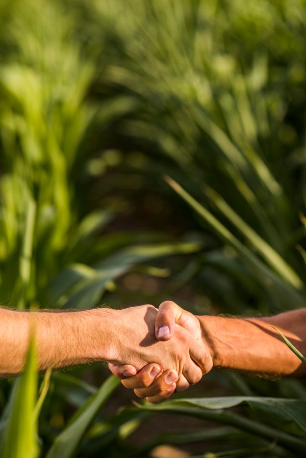 Apretón de manos entre dos personas en el campo